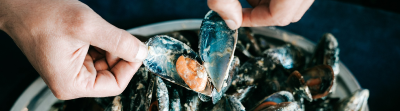À La Moule, à La Moule - restaurant LE GRAU-DU-ROI